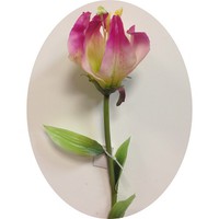 Глориоза арт.7109 h=70 см; цвет розовый; материал латекс Цена 220.00 руб