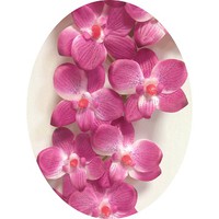 Орхидея арт. 6614; h= 87 cм; цвет розовый; материал латекс Цена 190.00 руб