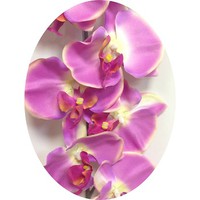 Орхидея арт. 7706; h= 90 cм; цвет фиолетовый Цена 295.00 руб