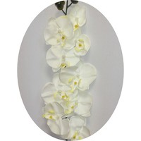 Орхидея арт. 7706; h= 90 cм; цвет белый Цена 295.00 руб