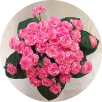 Букет роз арт. 6881; h=42 см; 40 веток; цвет - розовый Цена 1300.00 руб