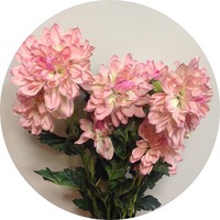 Куст георгин арт.32224 h=80 cм; 9 цветков; цвет розовый Цена 900.00 руб