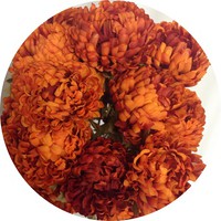 Букет хризантем арт. 1-525;h= 45 см; 14 веток; цвет оранжевый Цена 500.00 руб