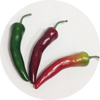 Муляжи овощей: перец чили арт. 4444; 9 см; цвета: зеленый; бордовый, красно-зеленый Цена 200.00 руб