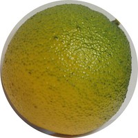 апельсин желто-зеленый арт.9357; h=9 cм; Цена 300.00 руб