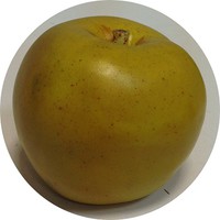 яблоко желто-зеленое арт.1515; d=7.5 см Цена 300.00 руб