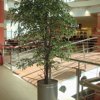 Искусственное дерево в интерьере ТРК 