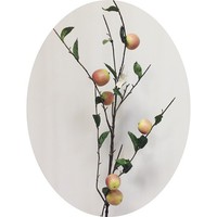Ветка с яблоками арт. 730/49/3 h=110 см Цена 380.00 руб