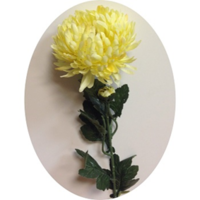 Хризантема желтая; h=65 см; d=10.5 см; Цена 140.00 руб