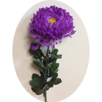 Хризантема фиолетовая; h=65 см; d=10.5 см; Цена 140.00 руб