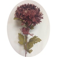 Хризантема осенняя арт.4330; h=77 см; d=15 см; цвет коричнево-свекольный Цена 210.00 руб