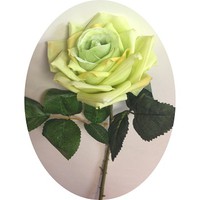 Роза остролистная арт. 7506; h=80 см; цвет - фисташковый Цена 195.00 руб