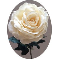 Роза арт. 1437; h=80 см; цвет - белый Цена 270.00 руб