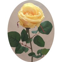 Роза арт. 7494; h=64 см; цвет - желтый Цена 210.00 руб