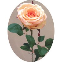 Роза арт. 7494; h=64 см; цвет - персиковый Цена 210.00 руб