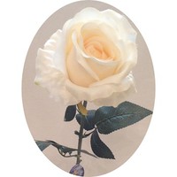 Роза арт.6864; h= 77 см; цвет - белый Цена 250.00 руб