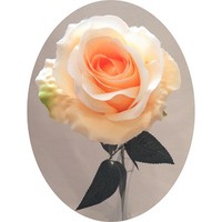 Роза арт.6864; h= 77 см; цвет - персиковый Цена 250.00 руб