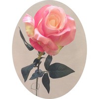 Роза арт.6864; h= 77 см; цвет - розовый Цена 250.00 руб