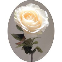 Роза арт. 6865; h=68 см; цвет - айвори Цена 270.00 руб