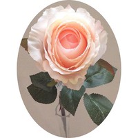Роза арт. 6865; h=68 см; цвет - персиковый Цена 250.00 руб